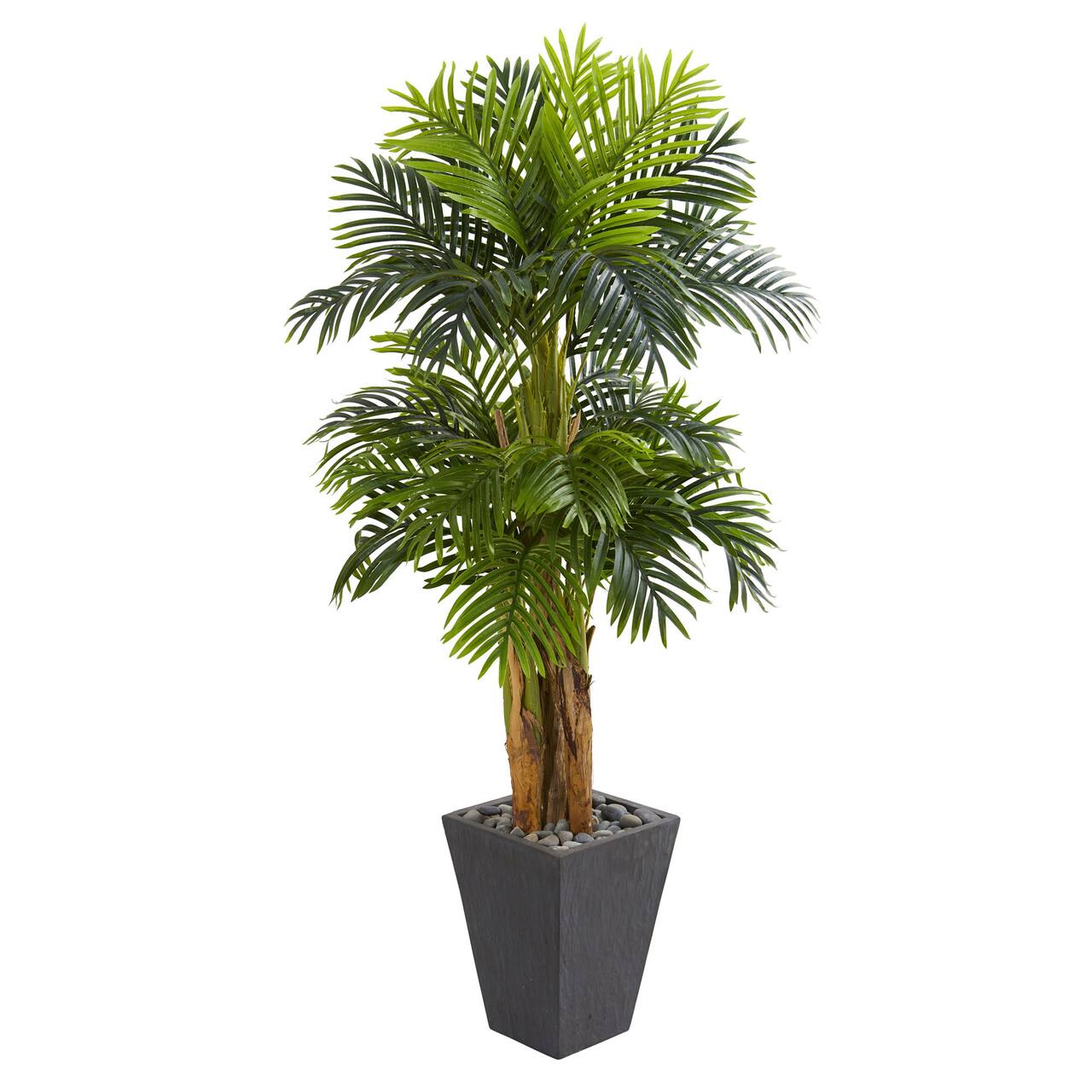 5.5ft. Triple Areca Palm Tree with Slate Planter